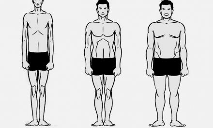 Определение типа телосложения мужчин (эктоморф, мезоморф или эндоморф)